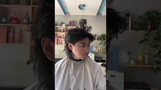 长毛剃成寸头
