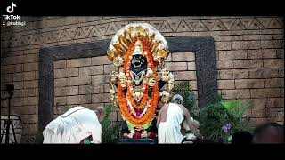 The Ahobilam Temple of Protection Lord Narasimha Temple Pran Pratishtha Ceremony (4)