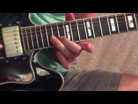 iogi - Delicate Creature (guitar solo cover)