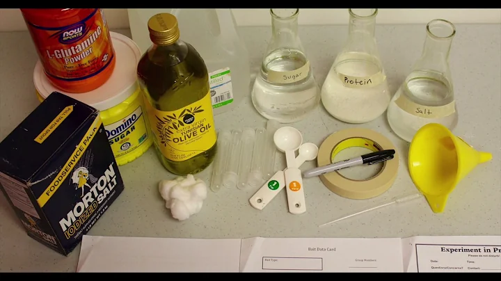 Become a citizen scientist with Ant Picnic on SciStarter