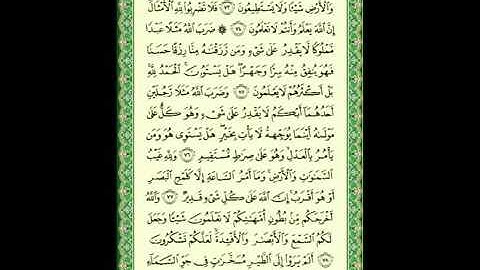 سورة النحل 016 ماهر المعيقلي