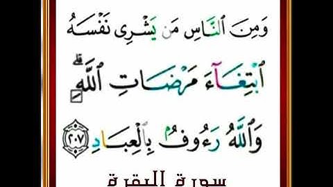|سورة البقرة| اية رقم ٢٠٧ |بصوت الشيخ الحصري |ص٣٢|اخذها بركة تركها حسرة |