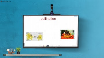 Kneura Teach IWB Teaching Suite | AI powered Content Search Engine | MyCloud | Digital Whiteboard
