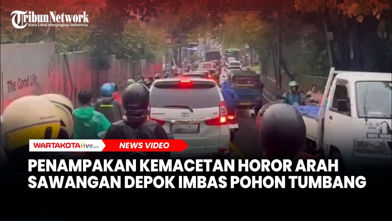 Penampakan Kemacetan Horor Arah Sawangan Depok Imbas Pohon Besar Tumbang di Jalan Muchtar