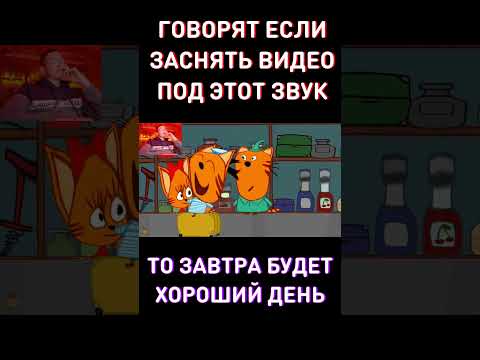Хорошее видео - RYTP Три Кота