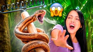 🐍 Casi me PICA una SERPIENTE y Visita Inesperada en LFB 😱 Sandra Cires Vlog