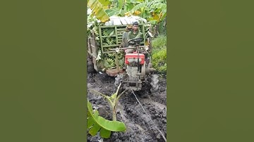 #shorts xe công nông 2 cầu chở chuối mang xích 8 gặp lầy cực khỏe và cái kết #xe2banh #shortvideo