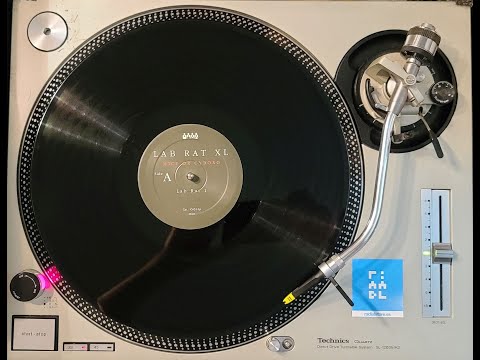 Lab Rats Cyborg Lab Rat XL – Mice Or Cyborg (2003, Vinyl) - Discogs