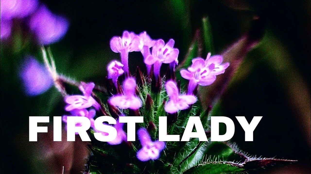 First Lady March 24, 2022 Full Episode 28
