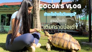 Cocoa’s vlog ใน 1 วันหยุดดูแลเต่าอย่างไร ,อาบน้ำเต่าซูคาต้า,เติมทรายบ่อเต่า