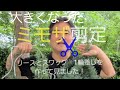 初めてのガーデニング‼️大きくなったミモザの剪定とリースとスワッグなど盛りだくさんで紹介‼️