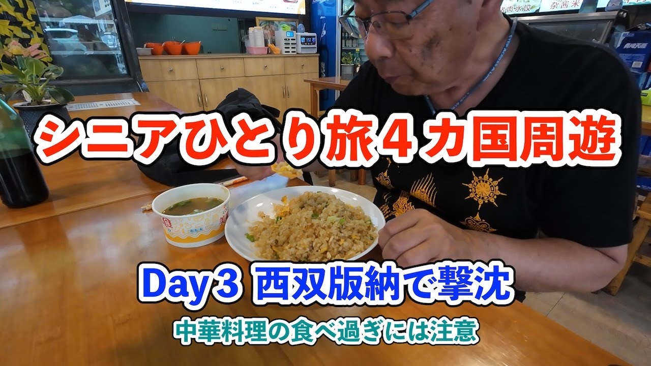 【シニア一人旅2025夏編】雲南省西双版納で撃沈 20250626