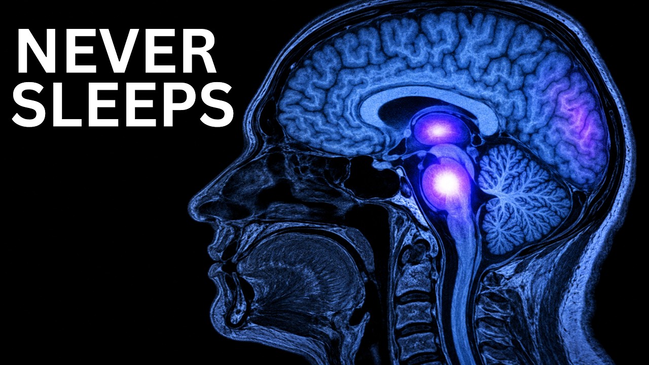 Neuroscientists Still Don’t Know Why We Dream | The Sleepy Scientist