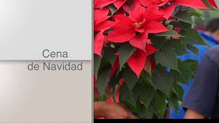 TITULARES AGRONOTICIAS sie7e PROGRAMA 232