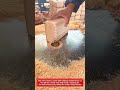 Shaping Wooden Blocks with a Router Table | Fast Wood Rounding Process