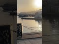 واحة ايلا العقبة تصميمي ترند
