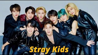 if stray kids had a sitcom opening