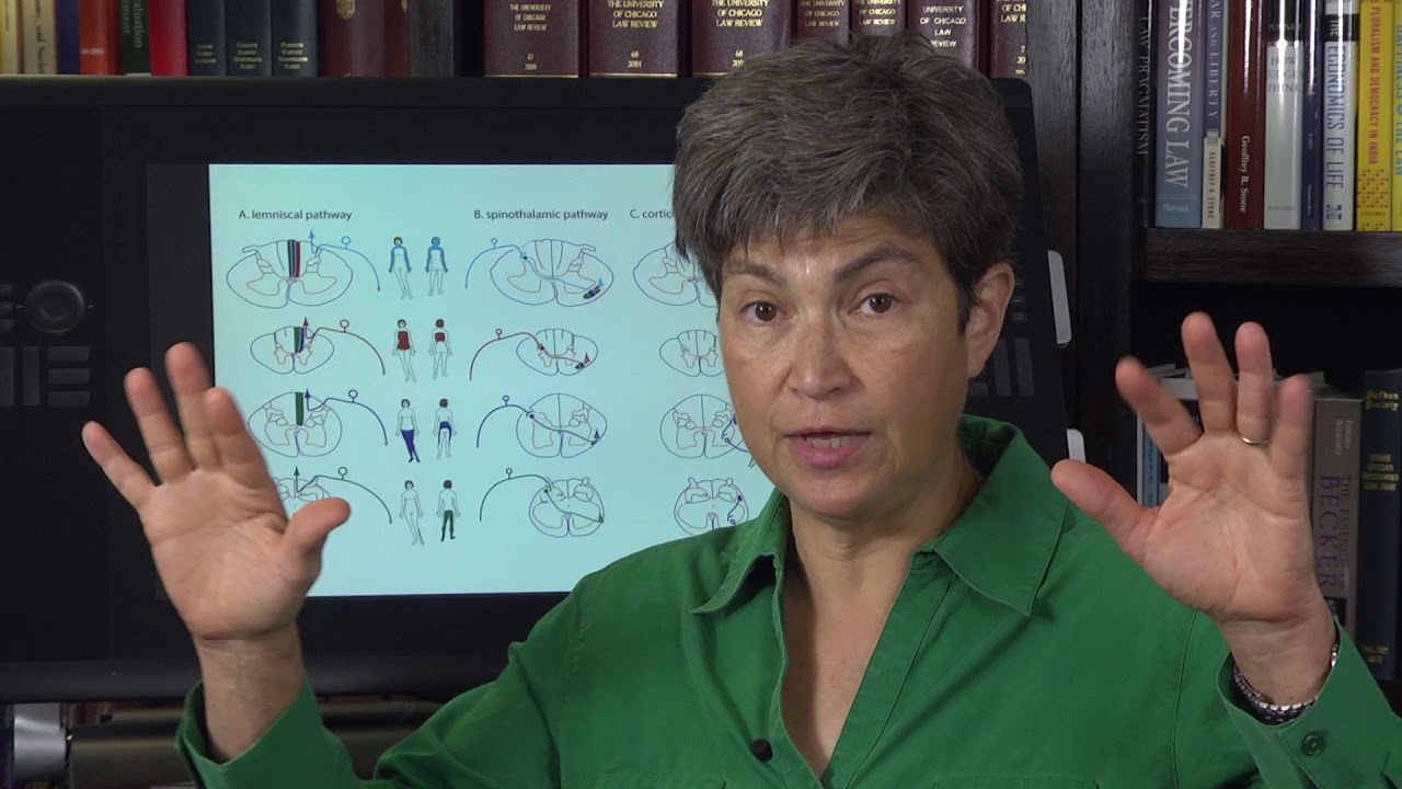 4.9 Review of the Three Pathways