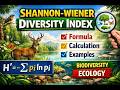Shannon–Wiener Index in Ecology | Step-by-Step Calculation with Examples (Urdu/Hindi)