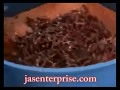 Video Image