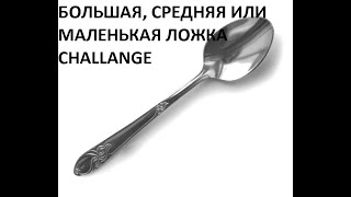 БОЛЬШАЯ, СРЕДНЯЯ ИЛИ МАЛЕНЬКАЯ ЛОЖКА CHALLENGE