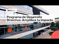 Programa de Desarrollo Directivo (PDD) del IESE: Amplifica tu impacto