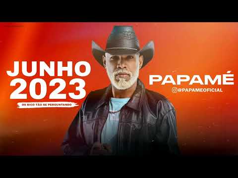 OS BICO TÃO SE PERGUNTANDO - VERSÃO PAPAME / SERESTINHA ARROCHADEIRA 2023