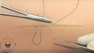 The Double Loop Mattress Stitch Wealth