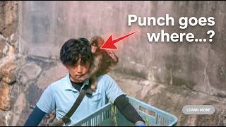 Punch First Day Update: The Tiny Baby Monkey Nobody Wanted — How The Monkey Survived at Ichikawa Zoo
