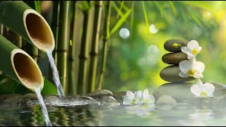 Relaxing music to relieve stress with bird sounds, relaxing Piano, bamboo fountain, Spa, BGM