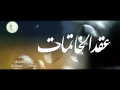 رياض الجنة خضرأ بهاء رياض الجنة خضرأ بهاء