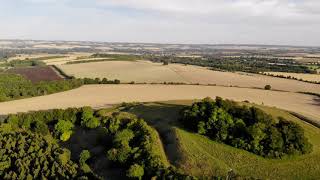 Wittenham Clumps