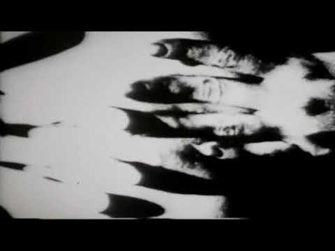 Putar Begotten - Sega Bodega