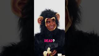 Rest In Peace, Monkey 🙉 | Abby vs Akila