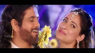 Akilandakodi Brahmandanayagan Tamil Full Movie | Nagarjuna | Anushka Shetty | Jagapathi Babu