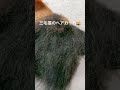 羊毛フェルト　リアル猫　ヘアカット💇‍♀️