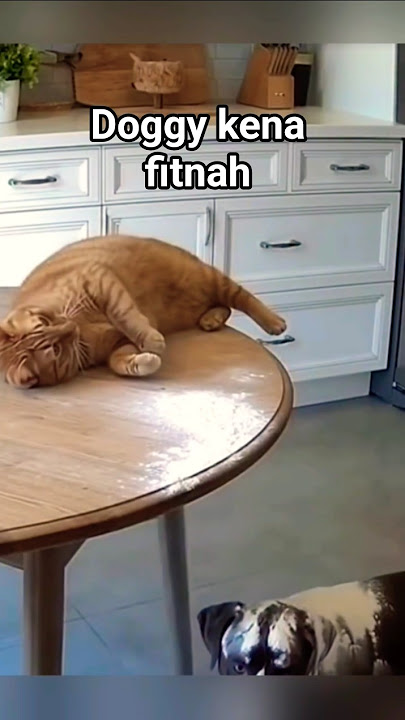 Seakan doggy yang melakukan