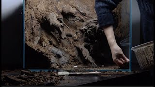 Making nature flowing in a fishtank