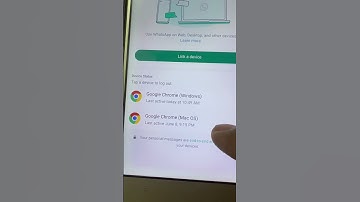 Langsung Logout WhatsApp aja kalo liat seperti ini