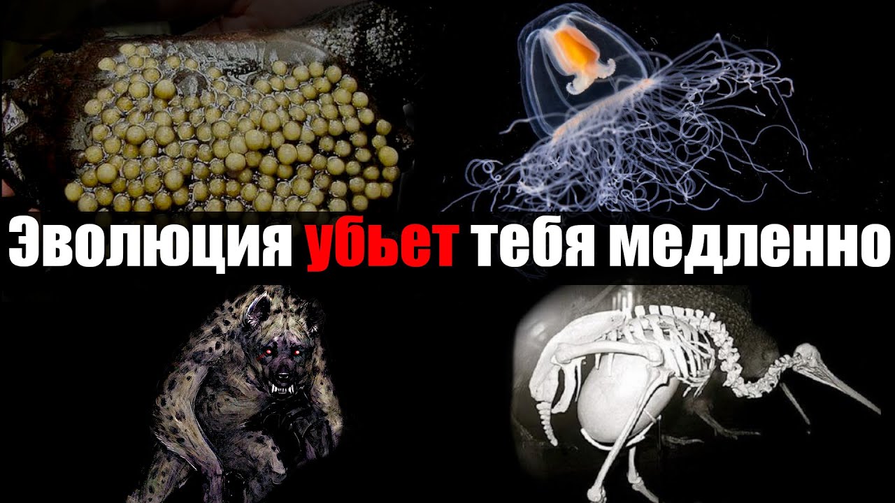 Айсберг Ужасов Эволюции