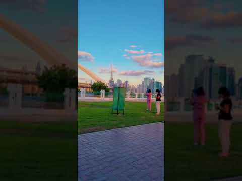 Burj Khalifa view//BBQ//Safa Park// Dubai UAE #youtubeshorts #viral #dubailife9889 #shorts