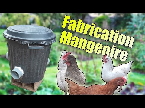 Vidéo: Mangeoires à poulets pour tuyaux d'égout en PVC : types de conceptions et conseils de fabrication