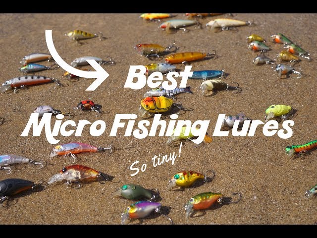 The best micro fishing baits