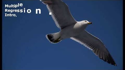 Week13 Multiple Regression 01 Intro. (다중회귀분석. 소개)