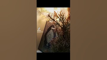 ٢٥ أكتوبر ٢٠٢٢تلاوة خاشعة لفضيلة الشيخ محمد السبيل رحمه الله تعالى