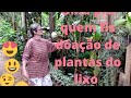 DOAÇÃO DE PLANTAS ENCONTRADA NO "lixo "🌿🍀🌺