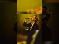 「24時」#thebirthday #チバユウスケ #music #shorts