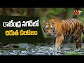 Leopard creates panic in Rajendra Nagar, Hyderabad
