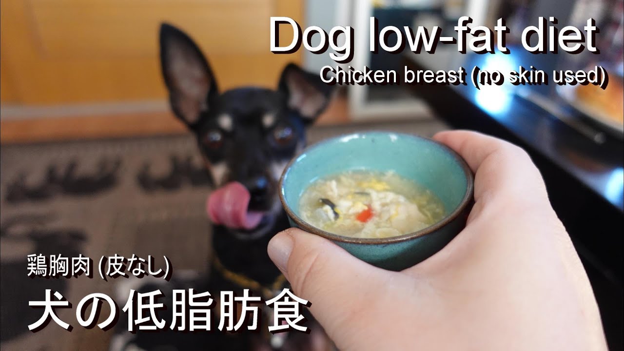 犬の低脂肪食 主な食材 鶏胸肉 皮なし Youtube