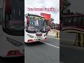 bus lovers Camilla #shortvideo #business #shortvideo #viralvideo #travel #thailand #businessnews